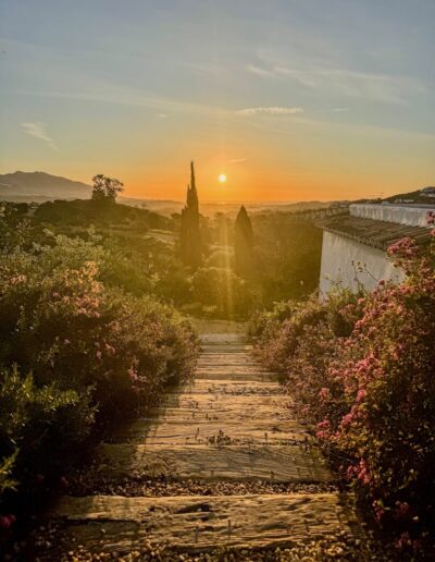 Viluz atardecer