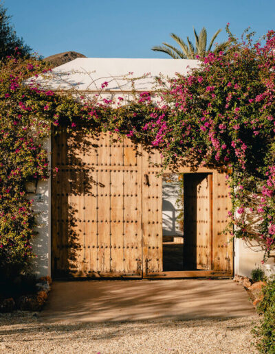 Viluz_Patio door
